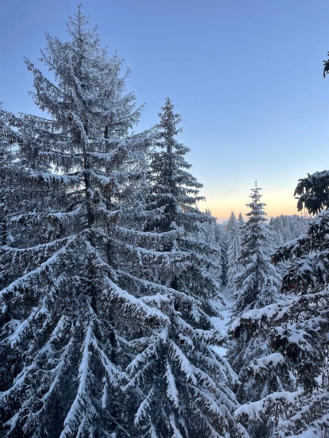 Woodside Apartment 431, Kopaonik - One Separate Bedroom 35M2- Free Parking & Spa Exteriör bild
