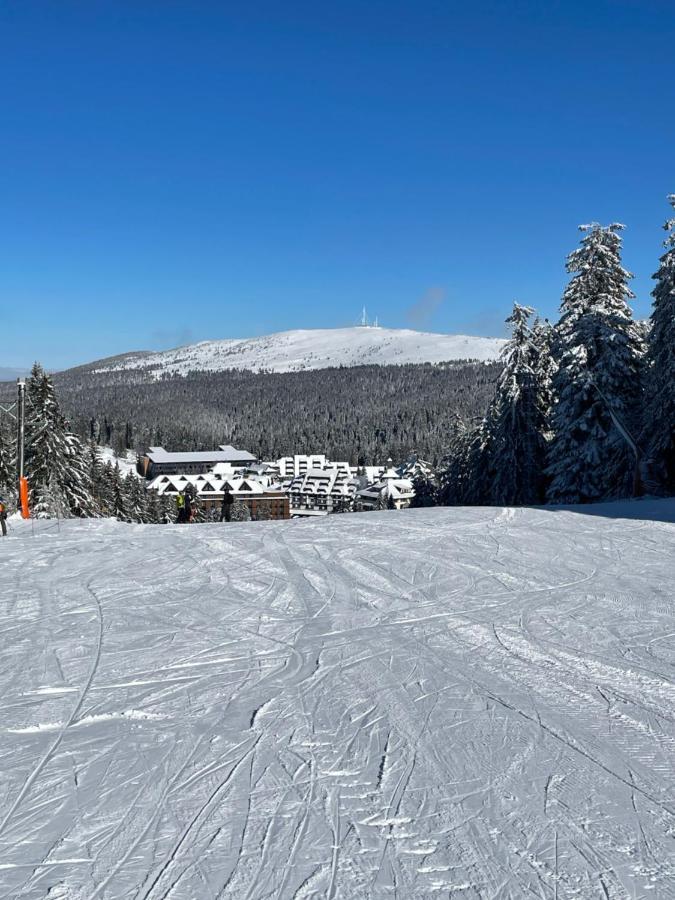 Woodside Apartment 431, Kopaonik - One Separate Bedroom 35M2- Free Parking & Spa Exteriör bild